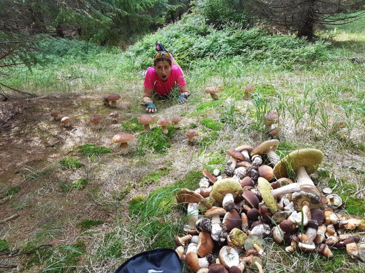 Penzion Eden Turnov Extérieur photo